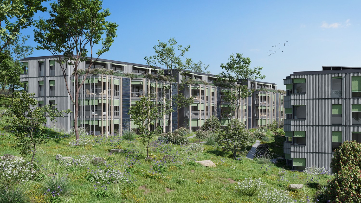 4 ½ Zimmer Wohnung