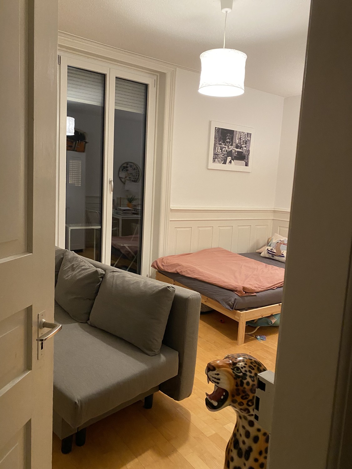 Room in a shared flat