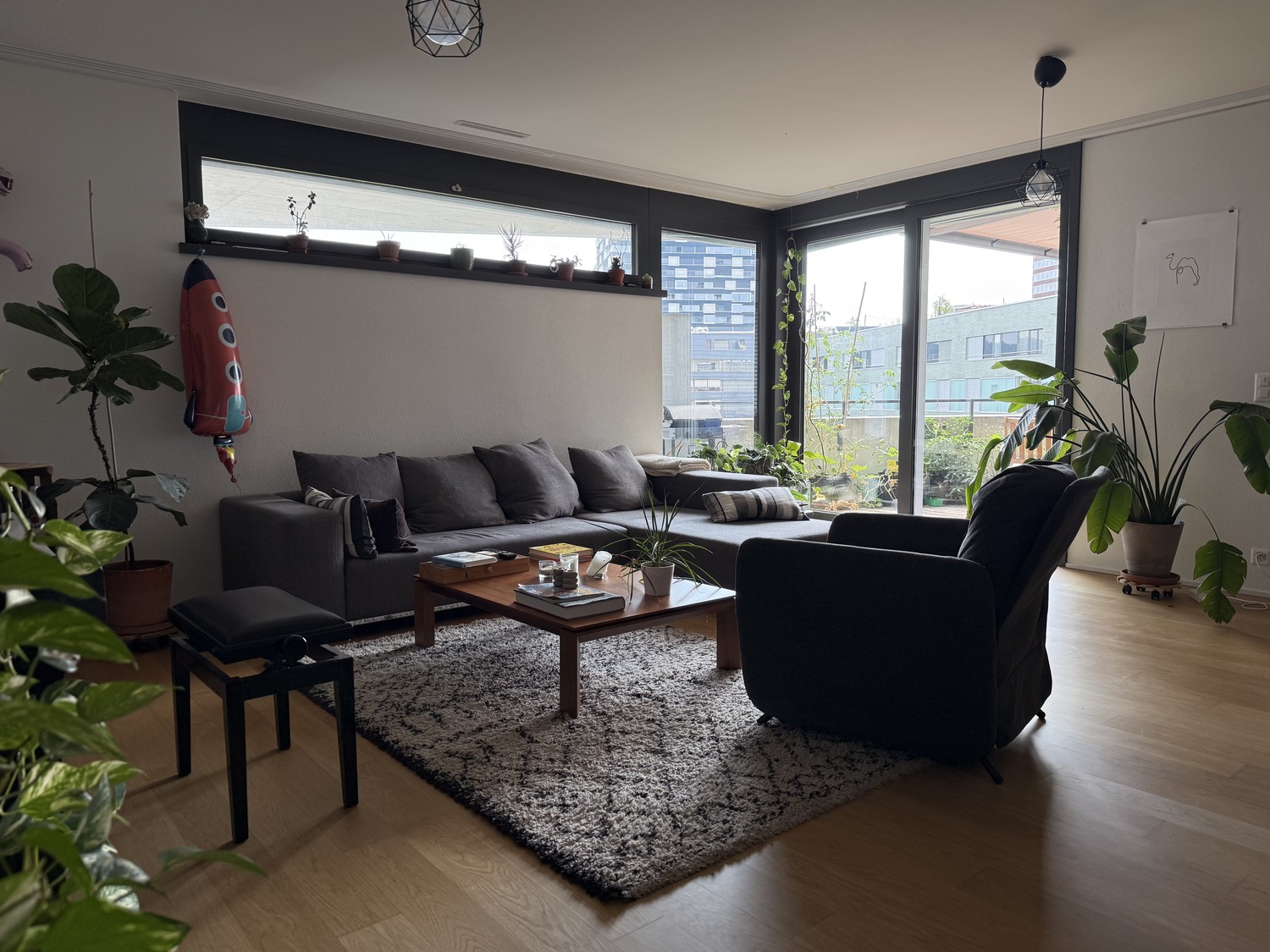 Room in a shared flat