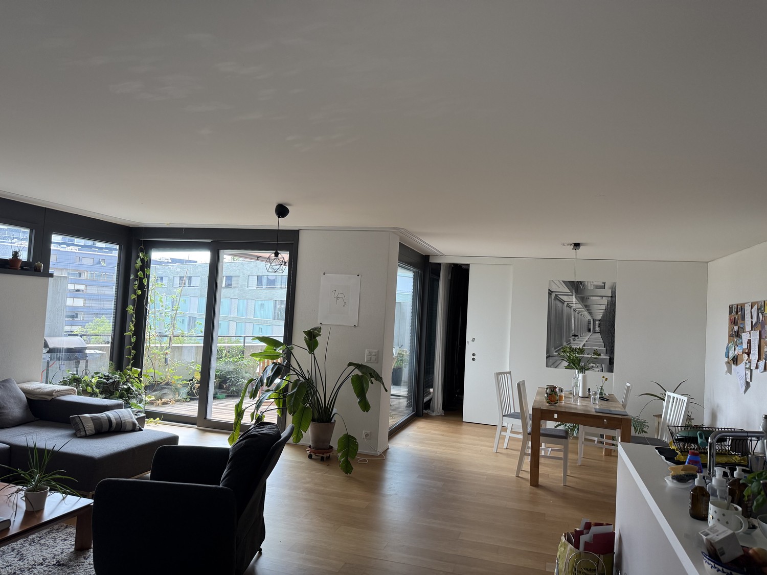 Room in a shared flat