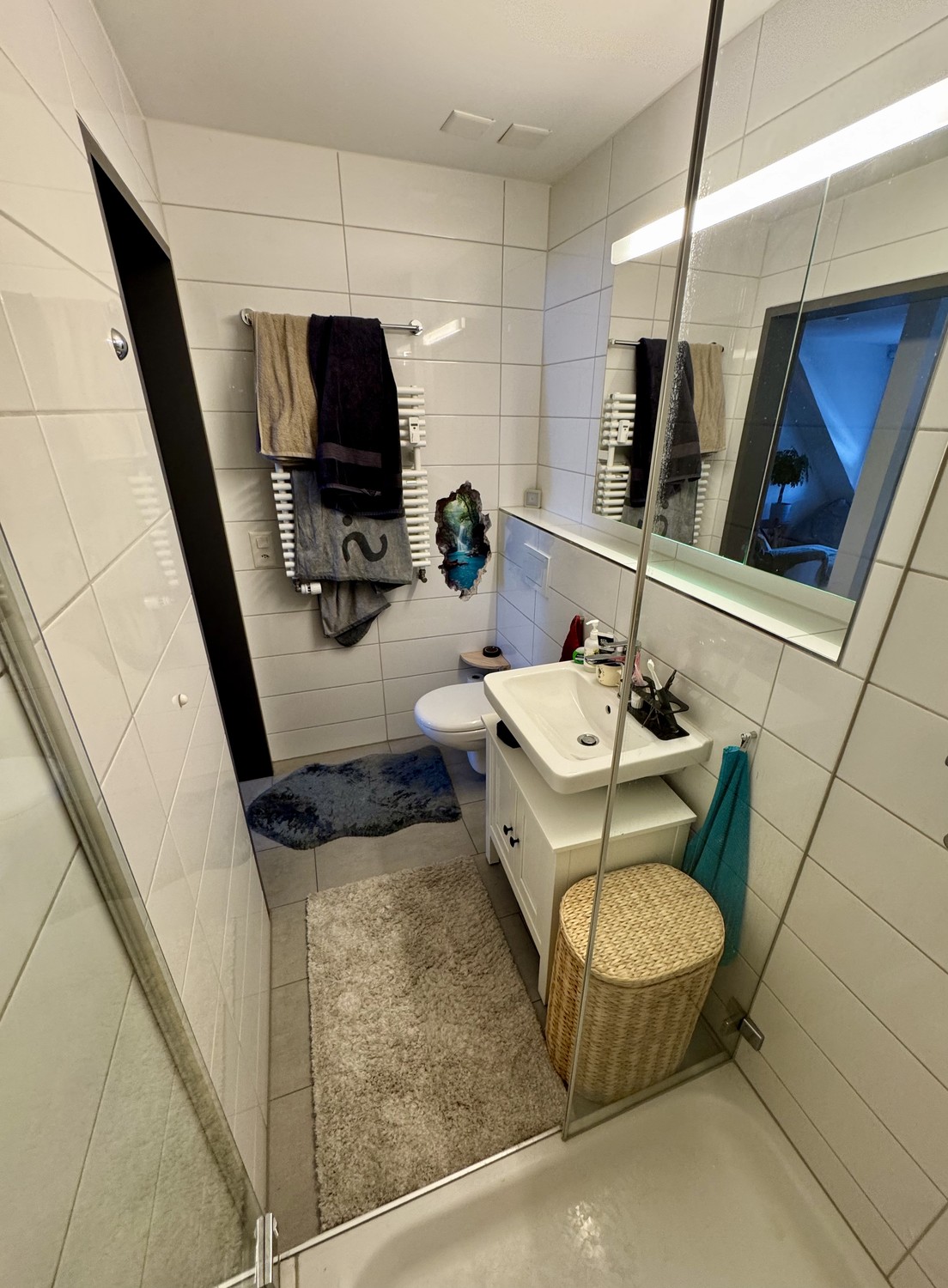 Appartamento di 2 ½ locali