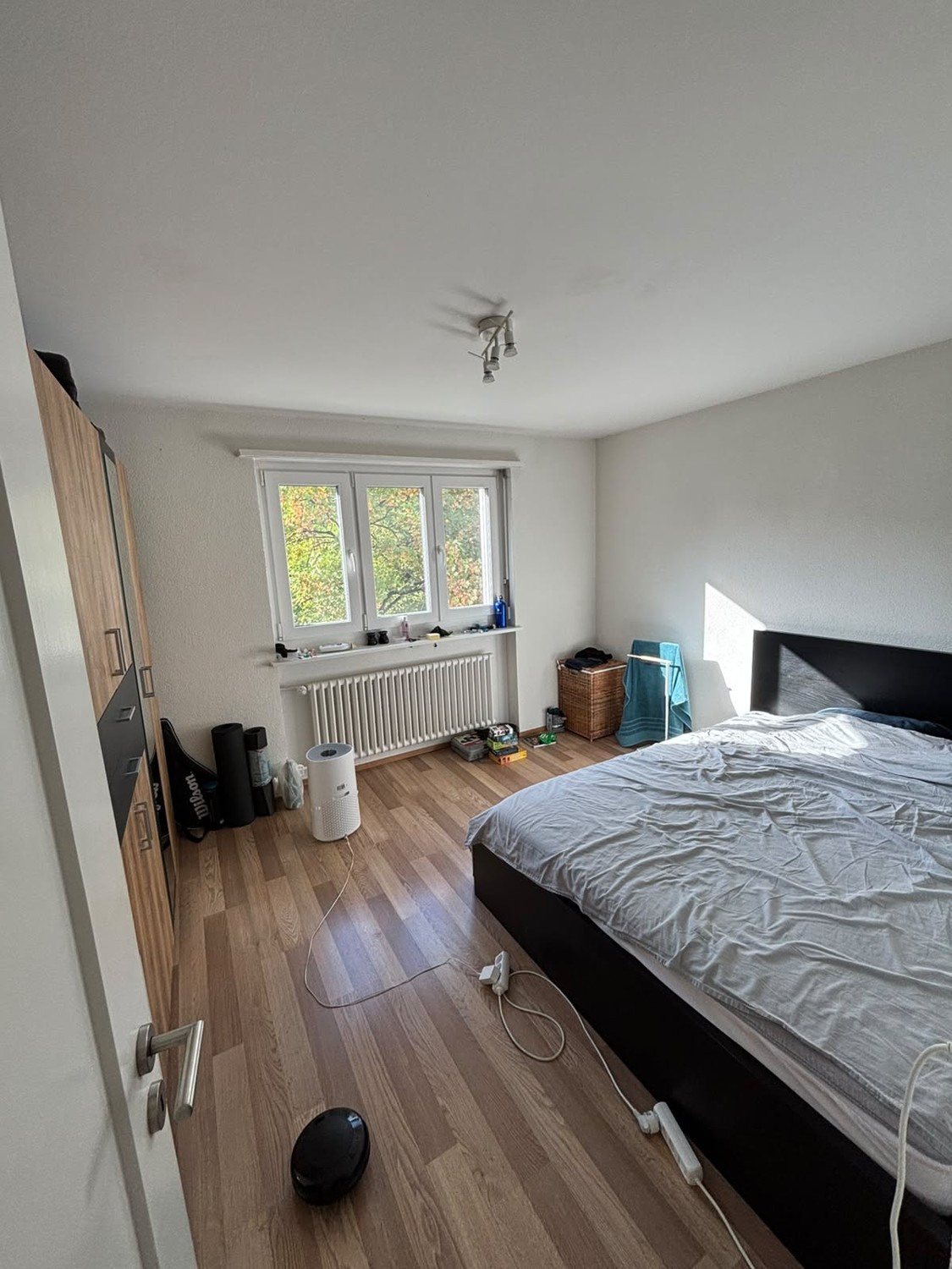 Room in a shared flat