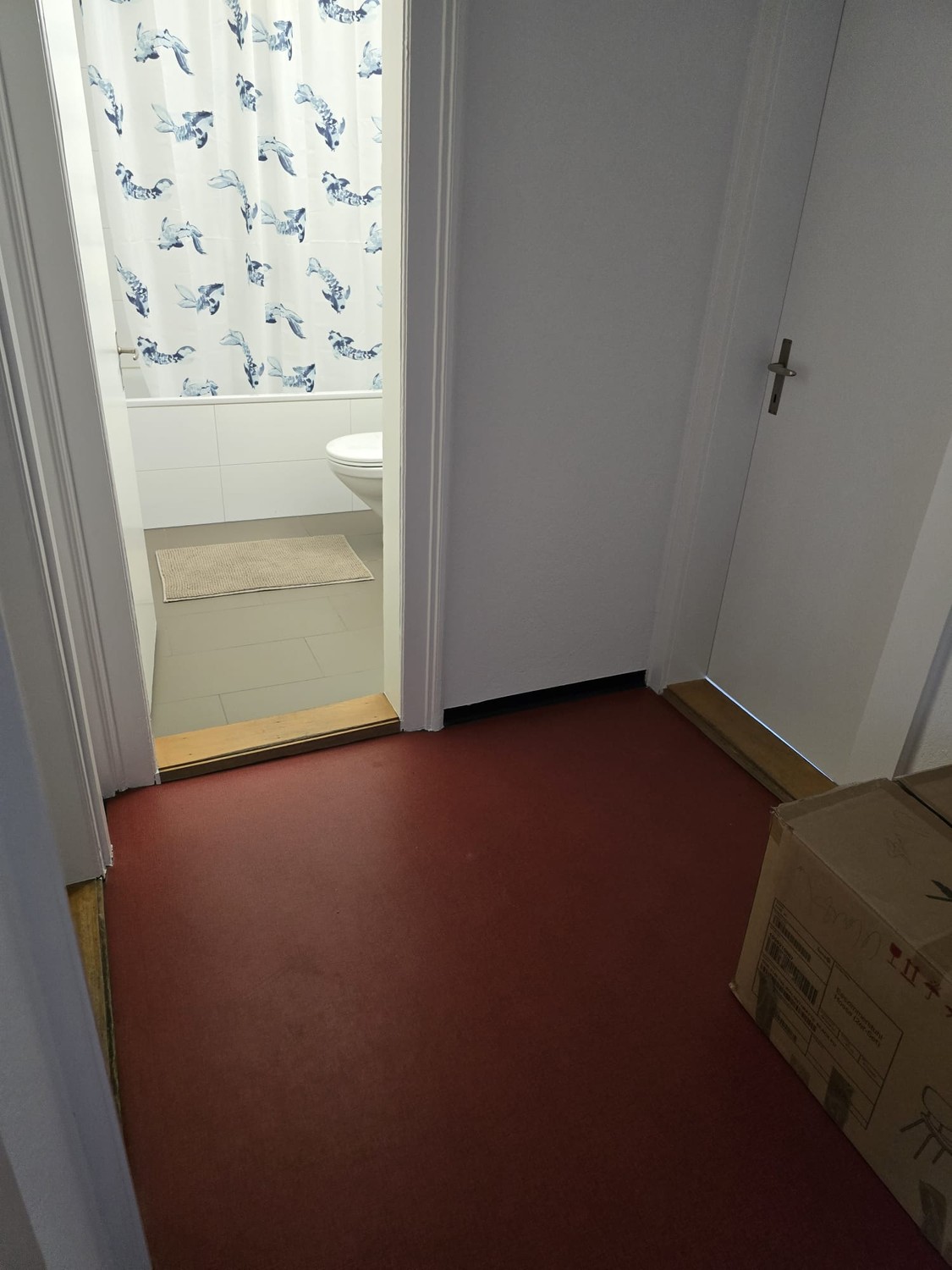 Room in a shared flat