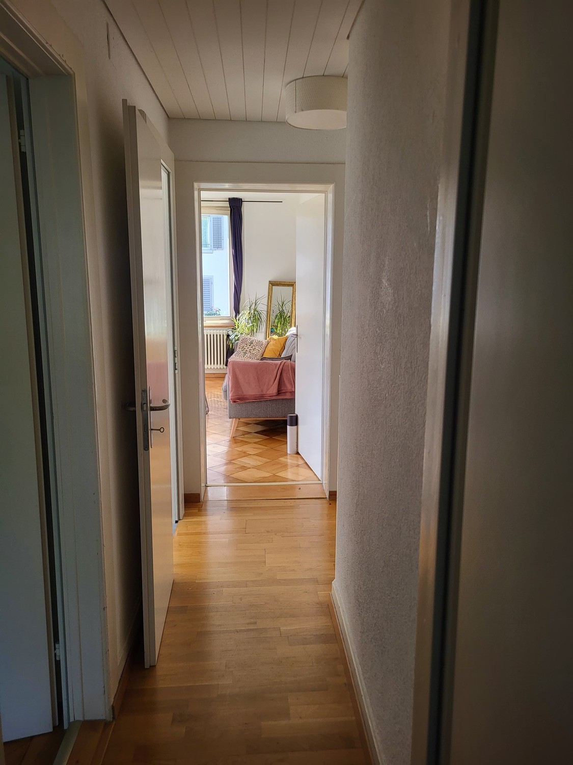Room in a shared flat