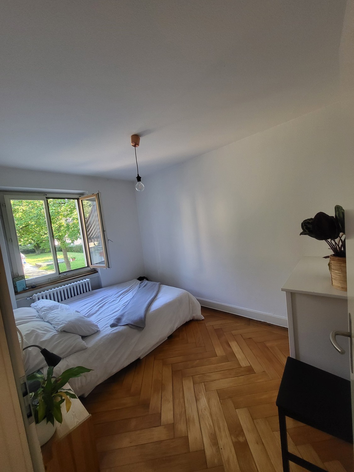 Room in a shared flat