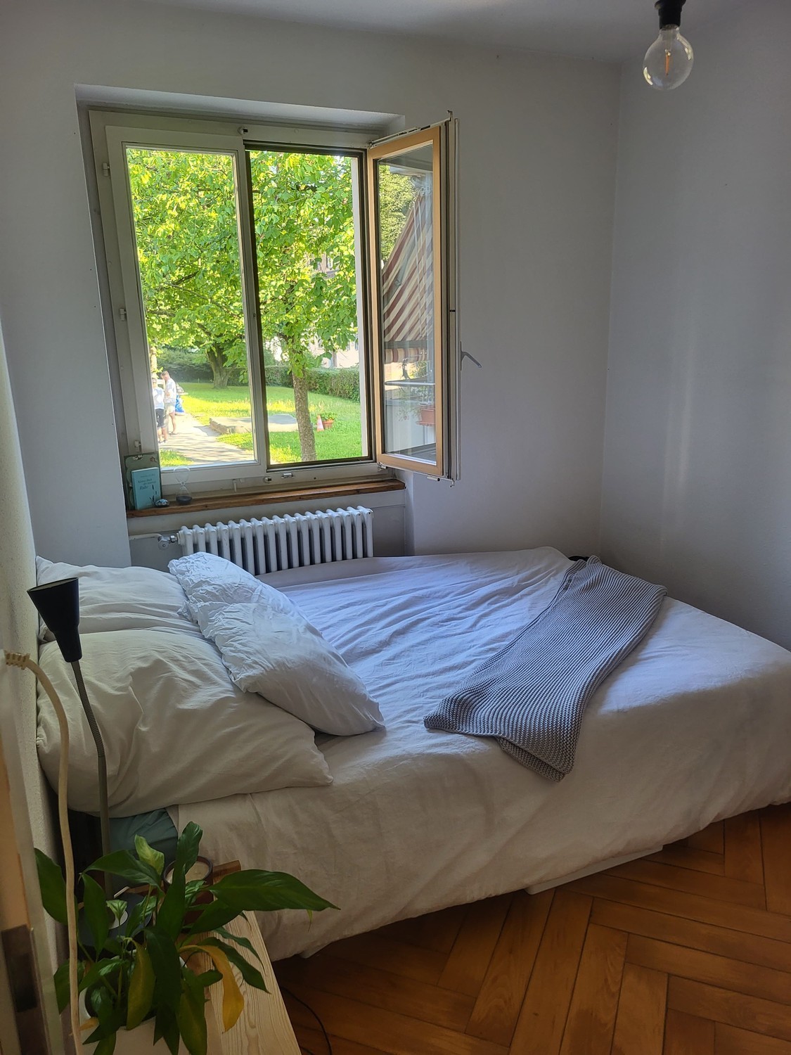Room in a shared flat