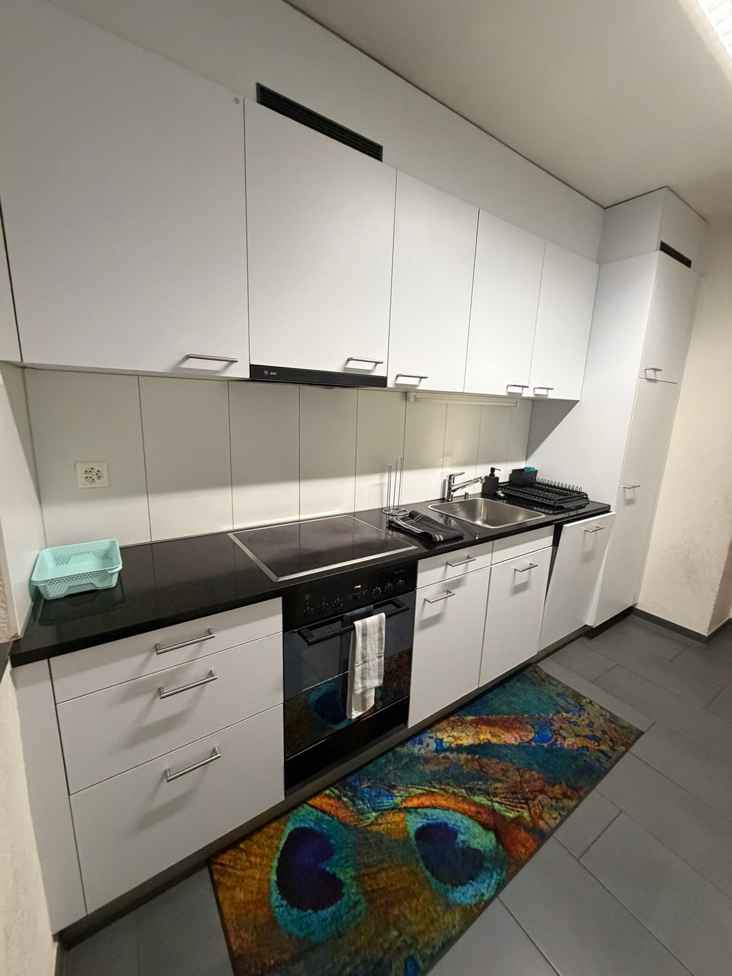 Appartamento di 2 ½ locali