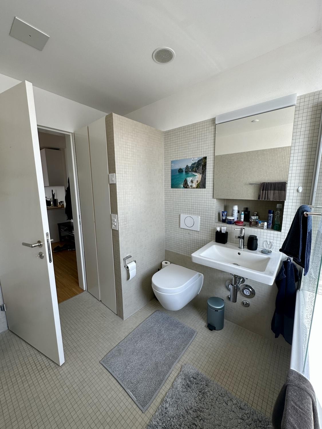 2 ½ Zimmer Wohnung