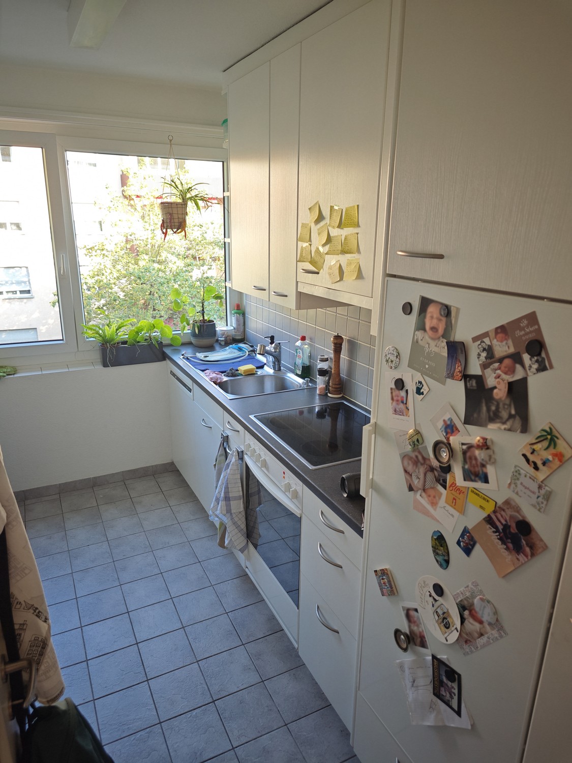 2 ½ Zimmer-Wohnung