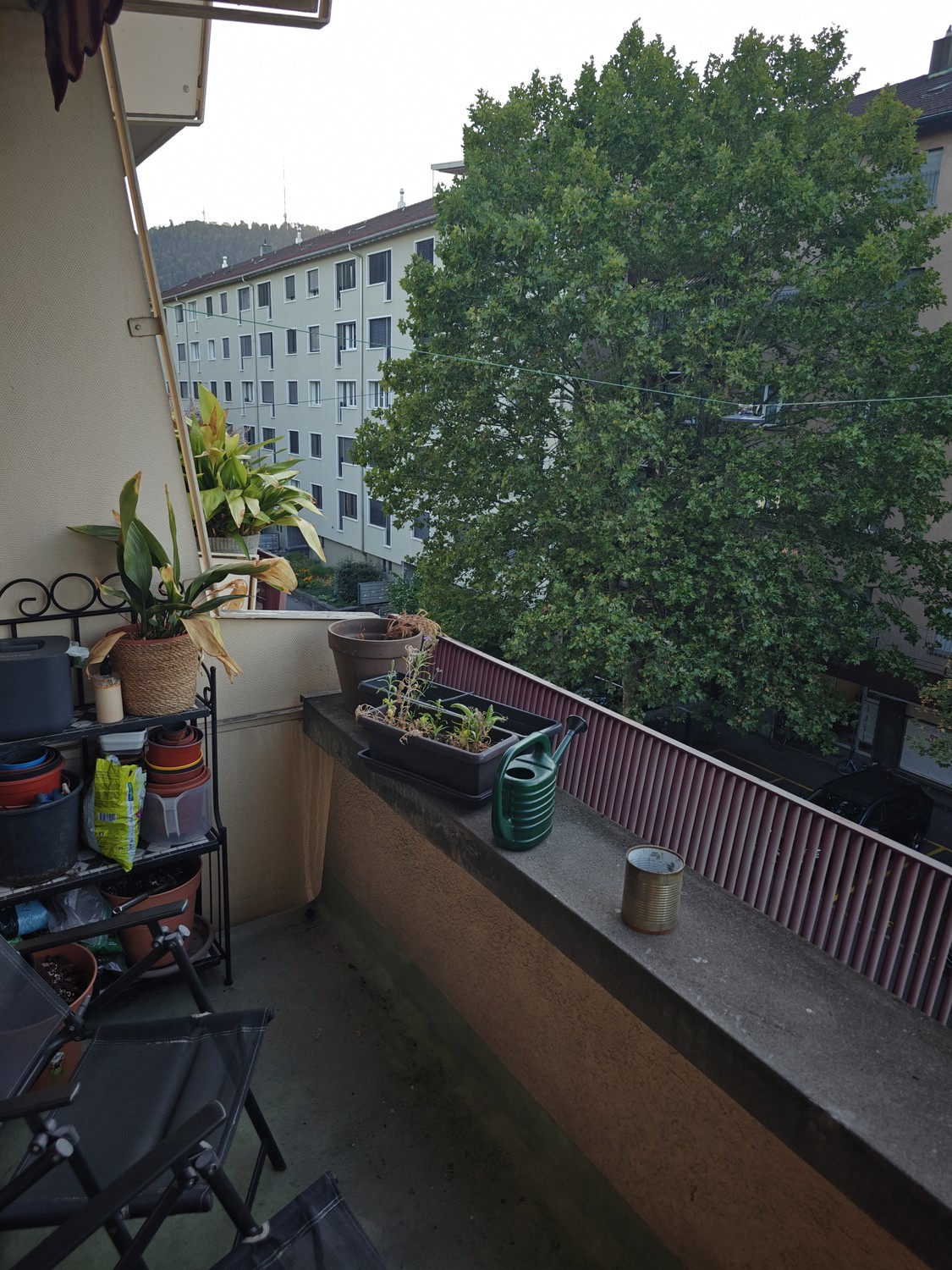 2 ½ Zimmer-Wohnung