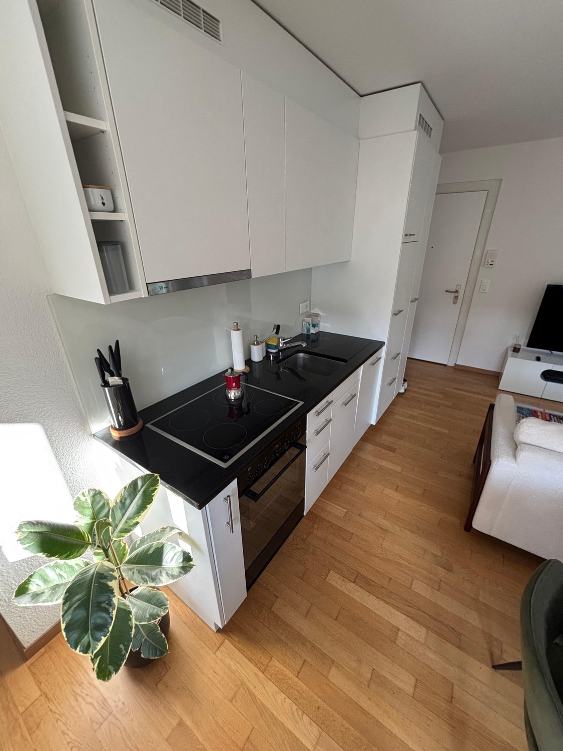 2 ½ Zimmer Wohnung