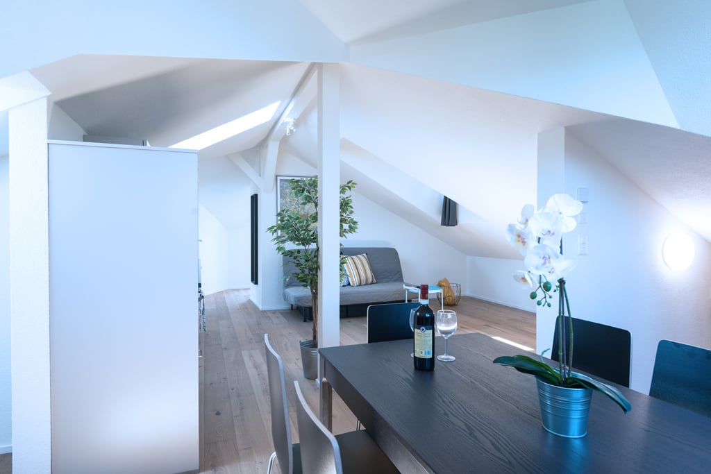 3 ½ rooms furnished flat