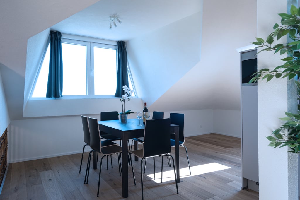 3 ½ rooms furnished flat