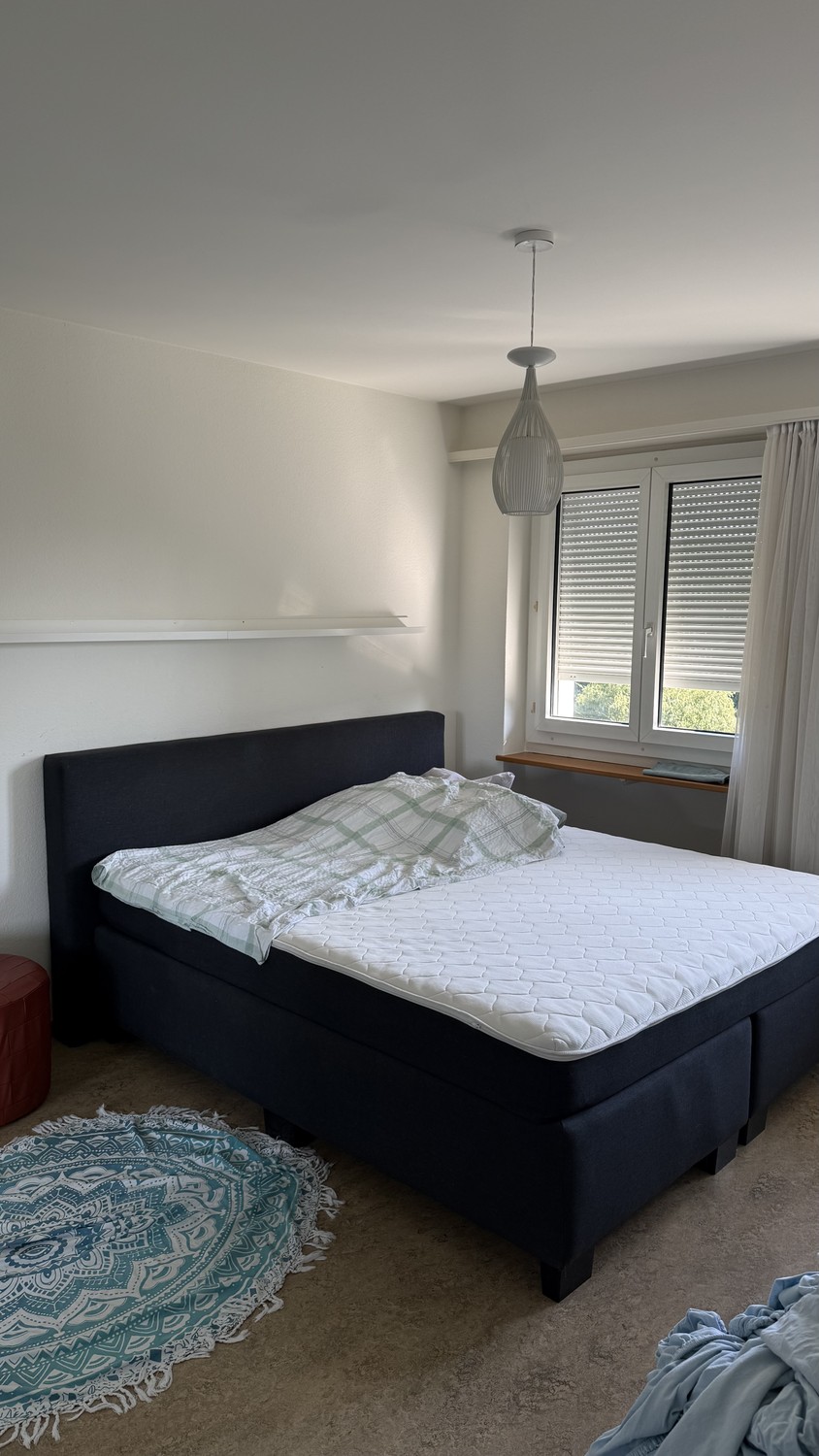 Chambre dans une colocation
