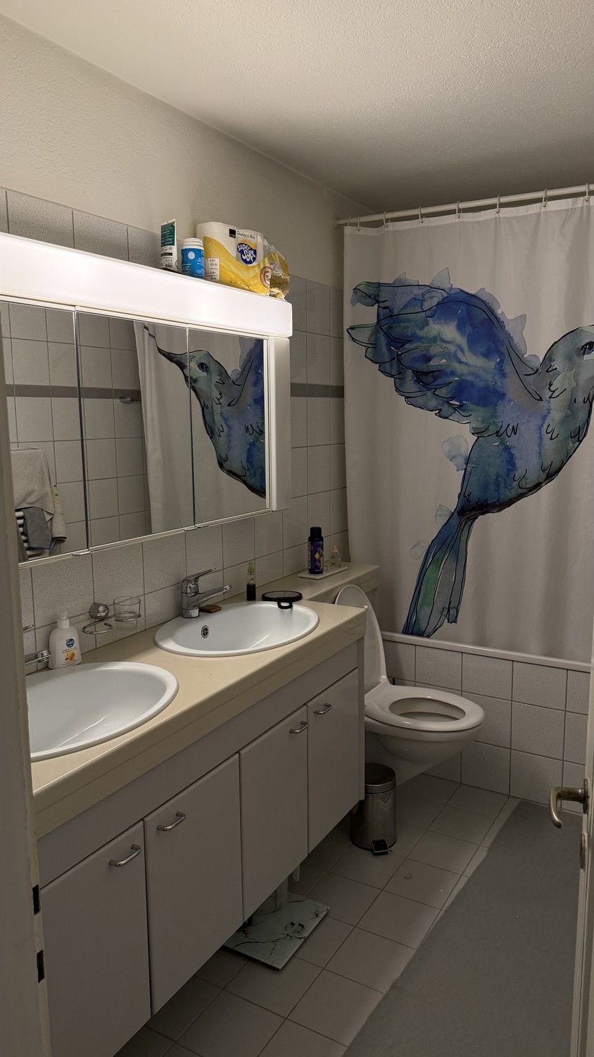 Chambre dans une colocation