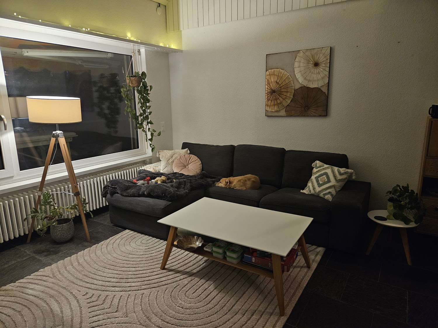 4 Zimmer Wohnung