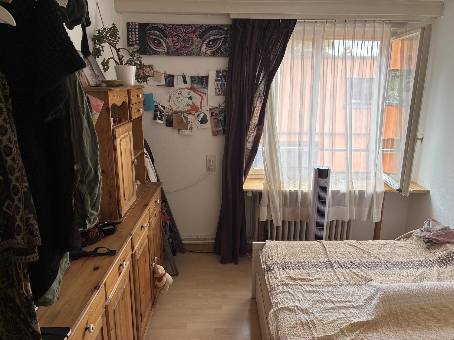 Room in a shared flat