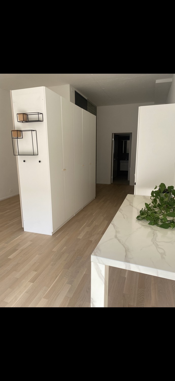 1 ½ Zimmer Wohnung
