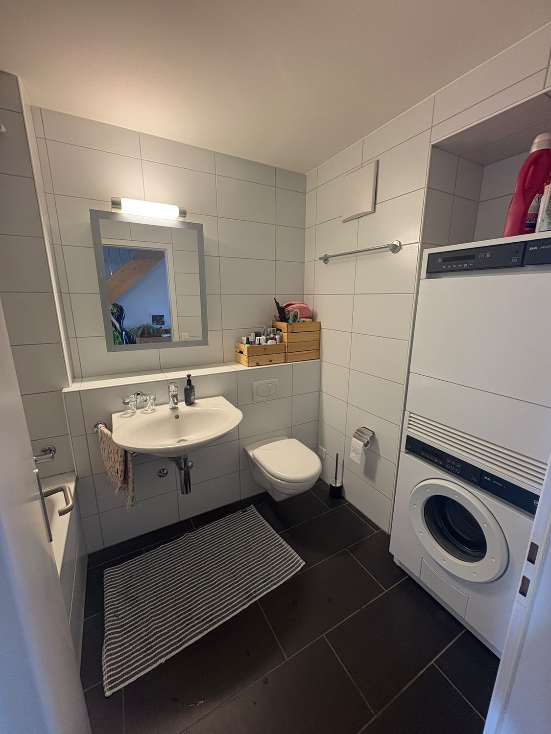 Appartamento di 2 ½ locali