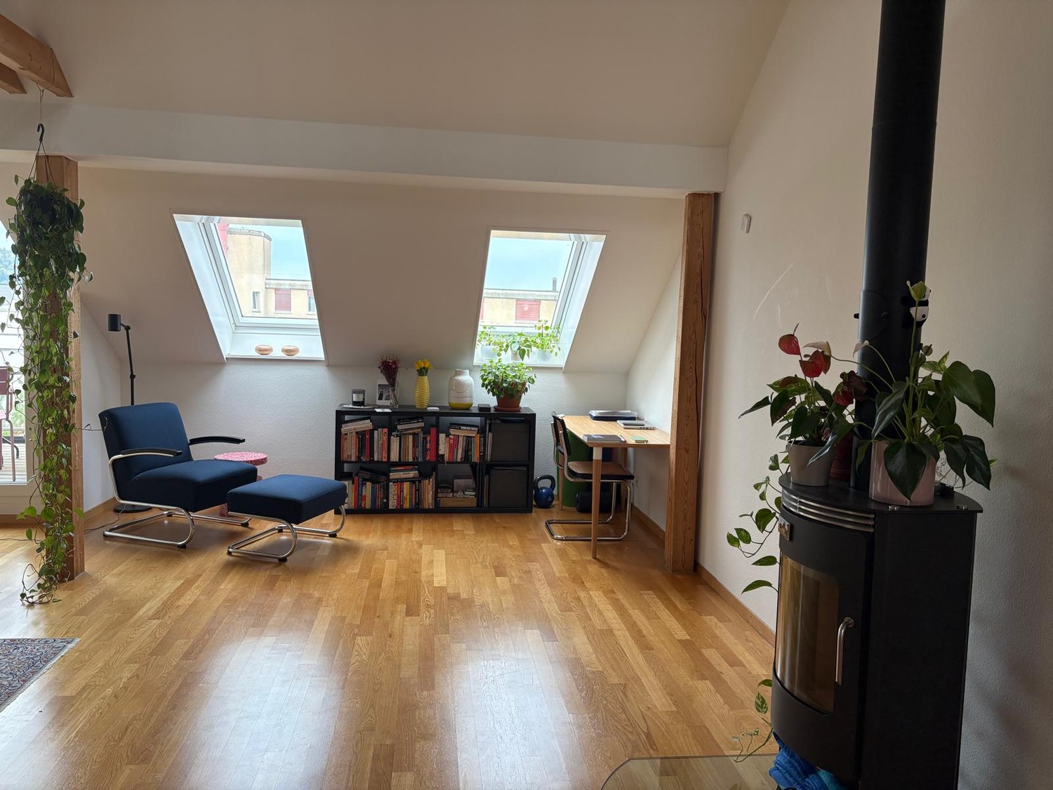 Appartamento di 2 ½ locali