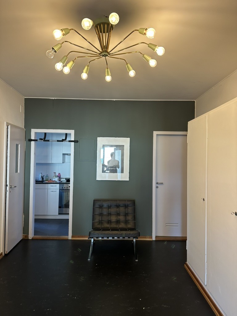 4 ½ Zimmer-Wohnung