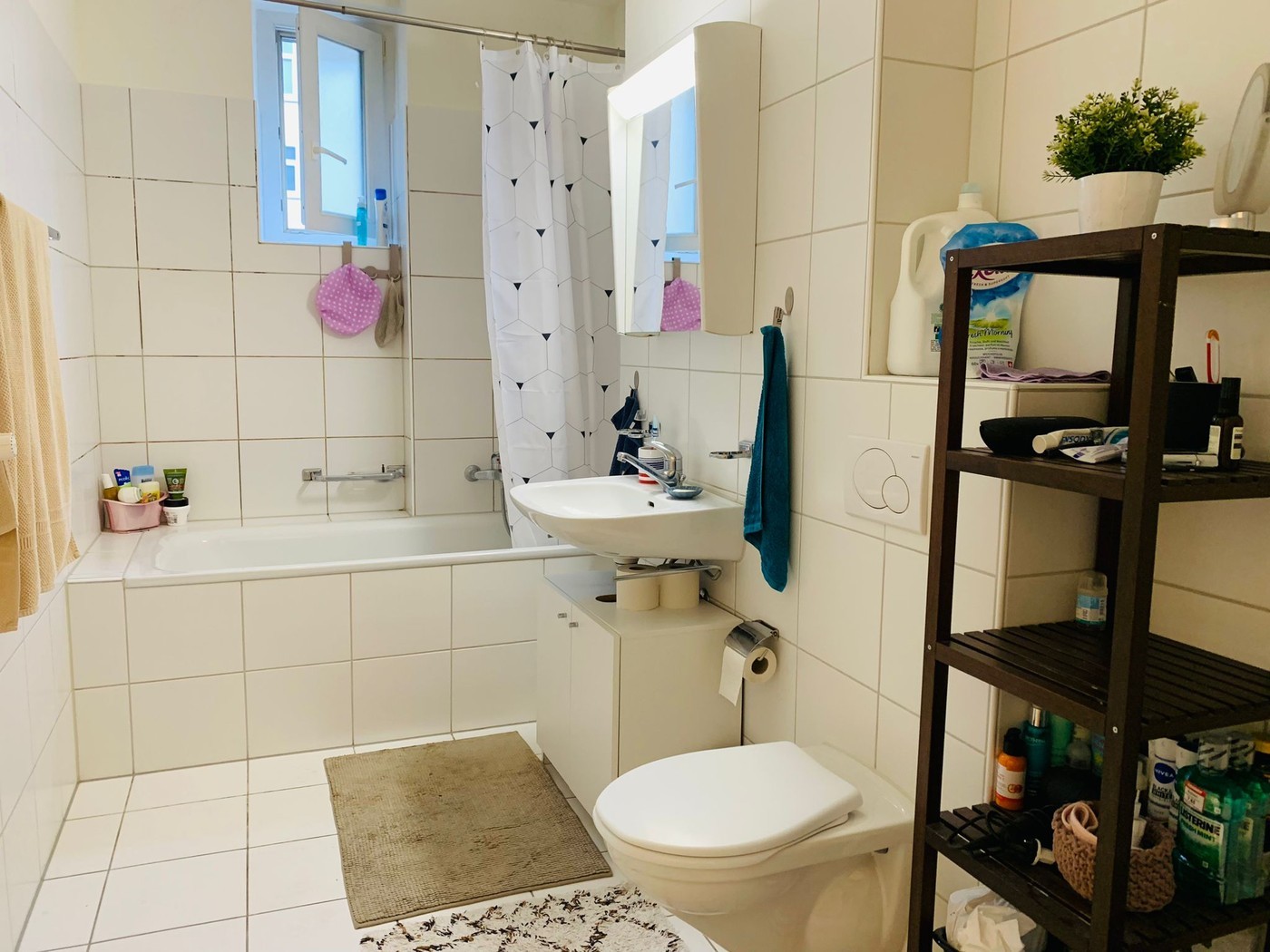 Room in a shared flat