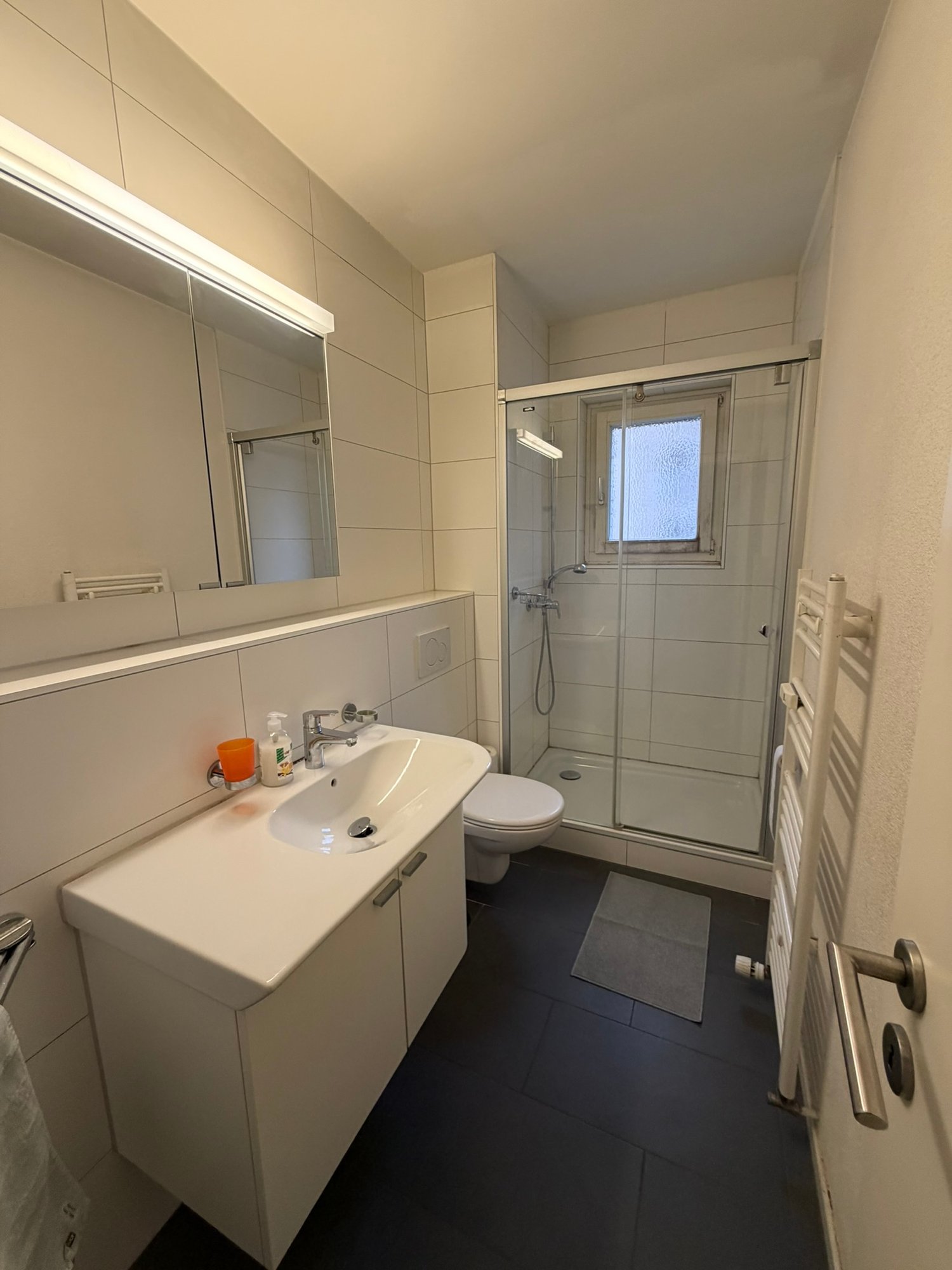 Appartamento arredato di 2 ½ locali