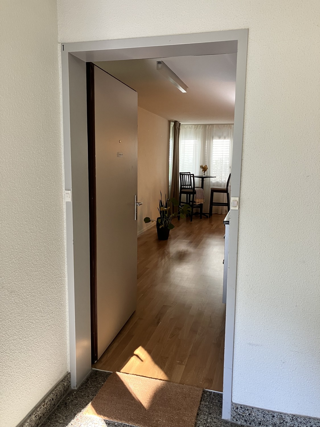 Appartement 1 ½ pièces