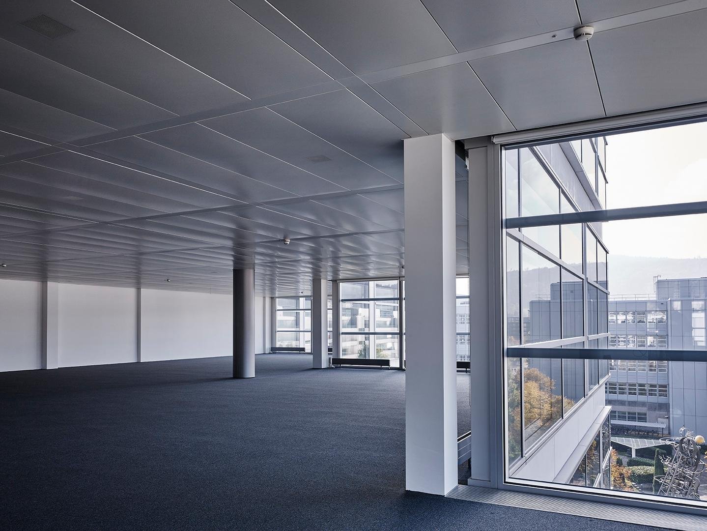 1243m² bureau