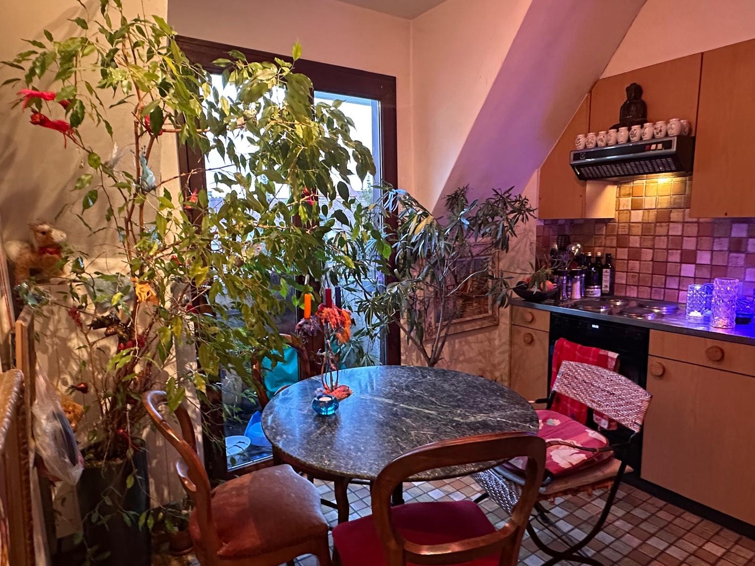 Room in a shared flat