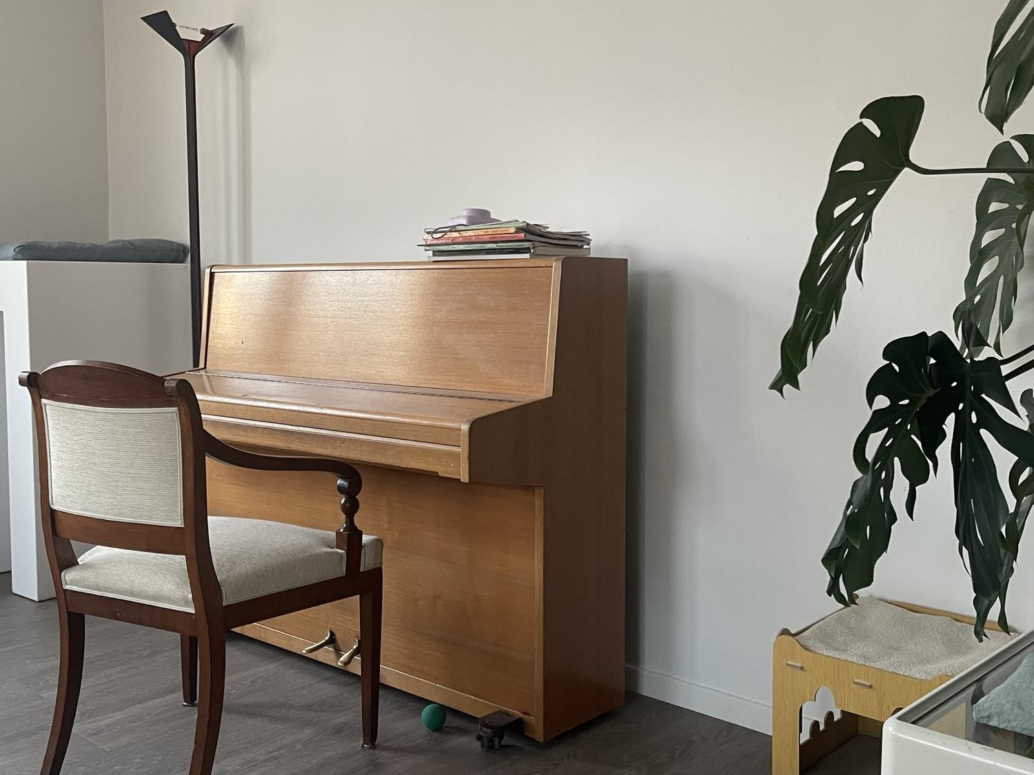 Room in a shared flat