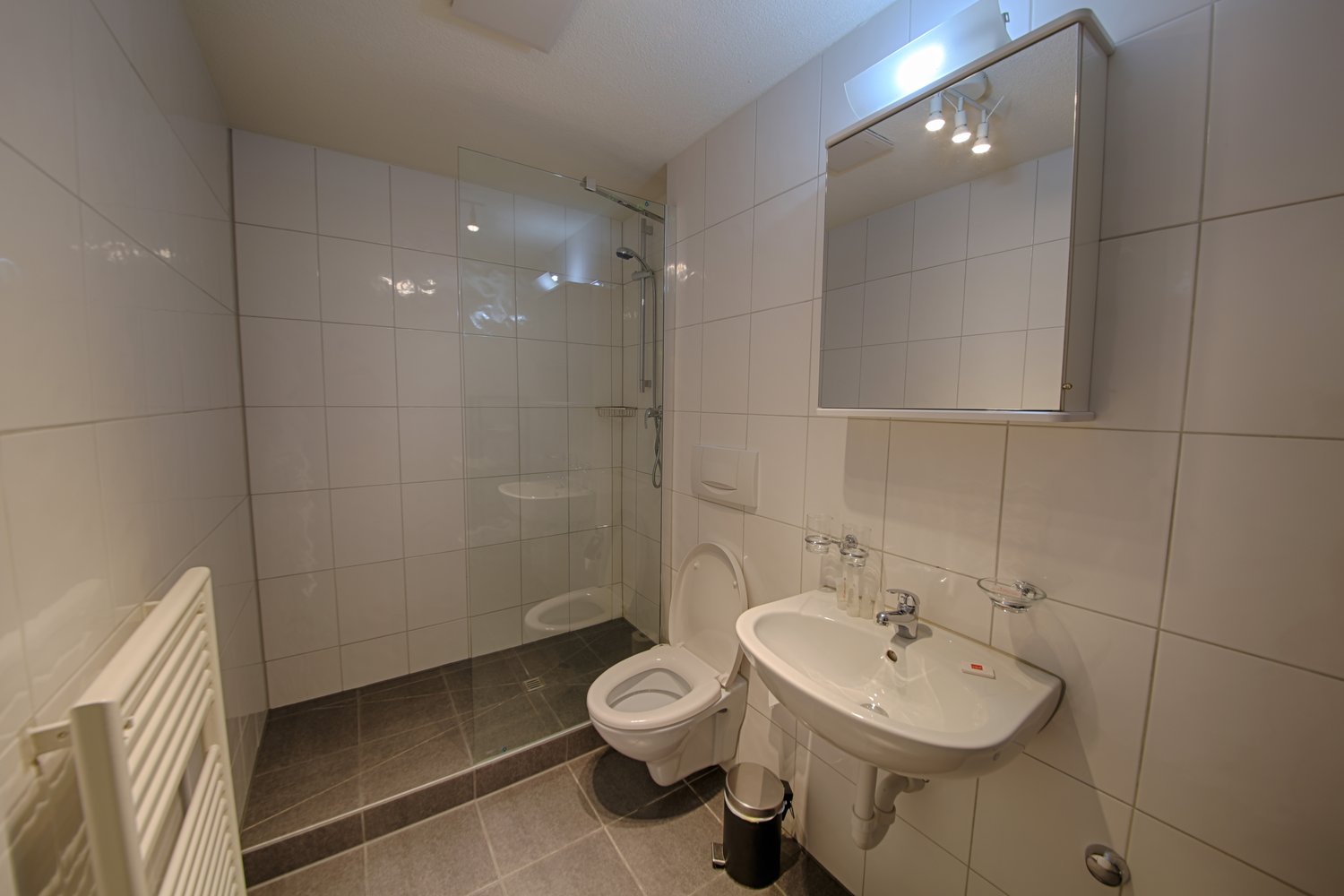 2 ½ rooms furnished flat
