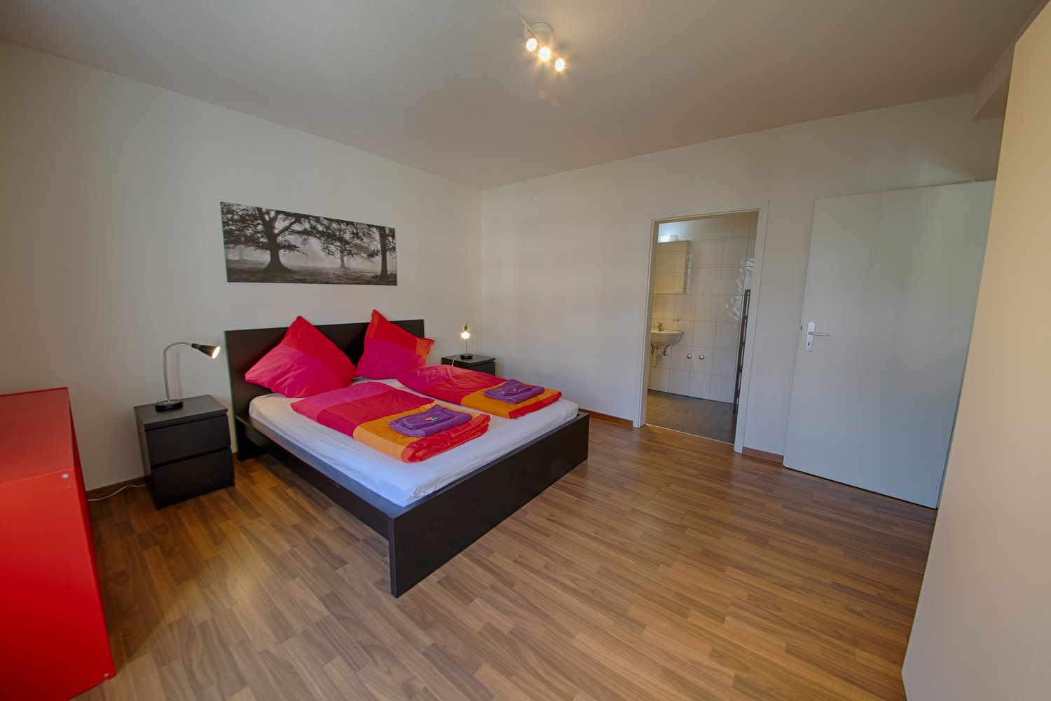 2 ½ rooms furnished flat