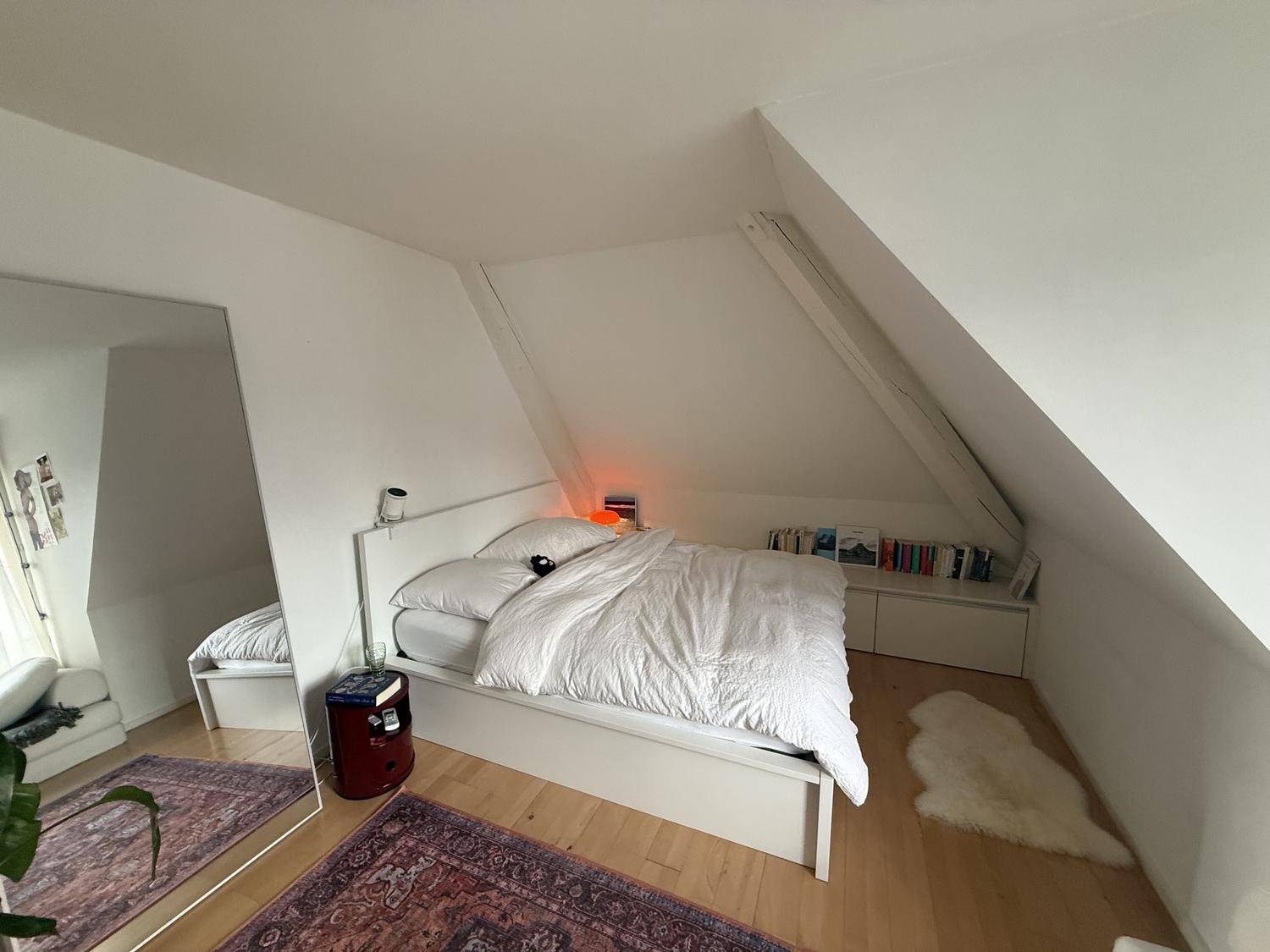Room in a shared flat