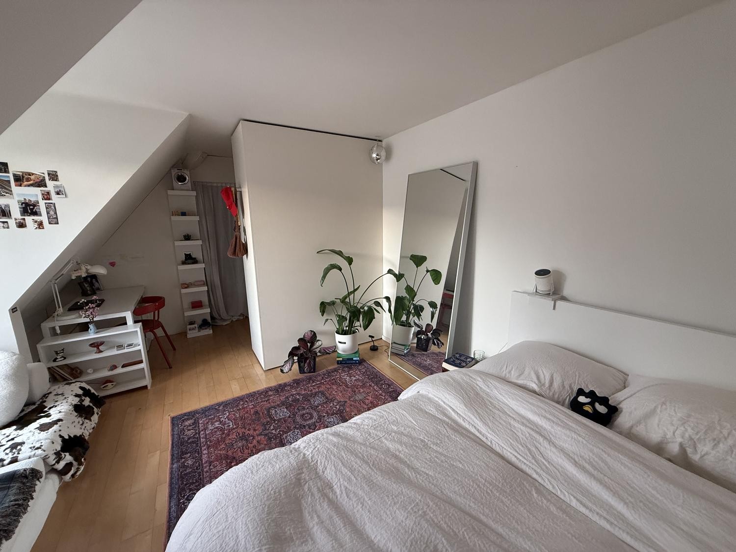 Room in a shared flat