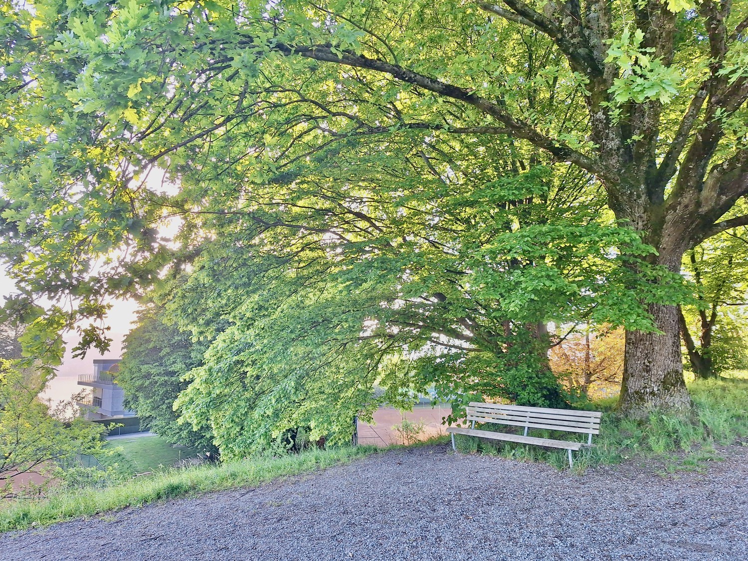 1 ½ Zimmer Wohnung