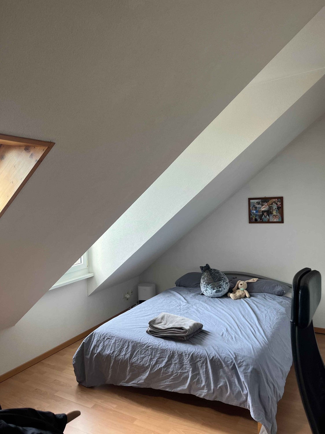2 ½ Zimmer Wohnung