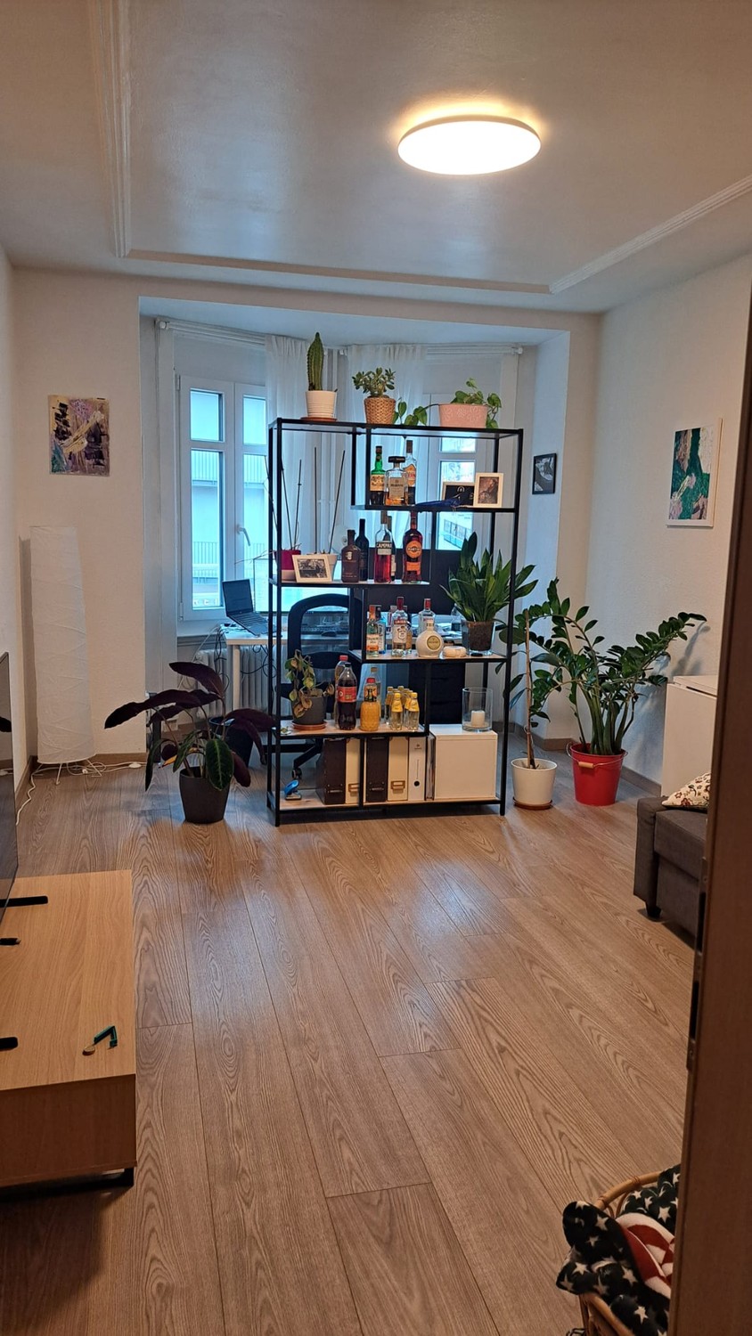 2 ½ Zimmer Wohnung