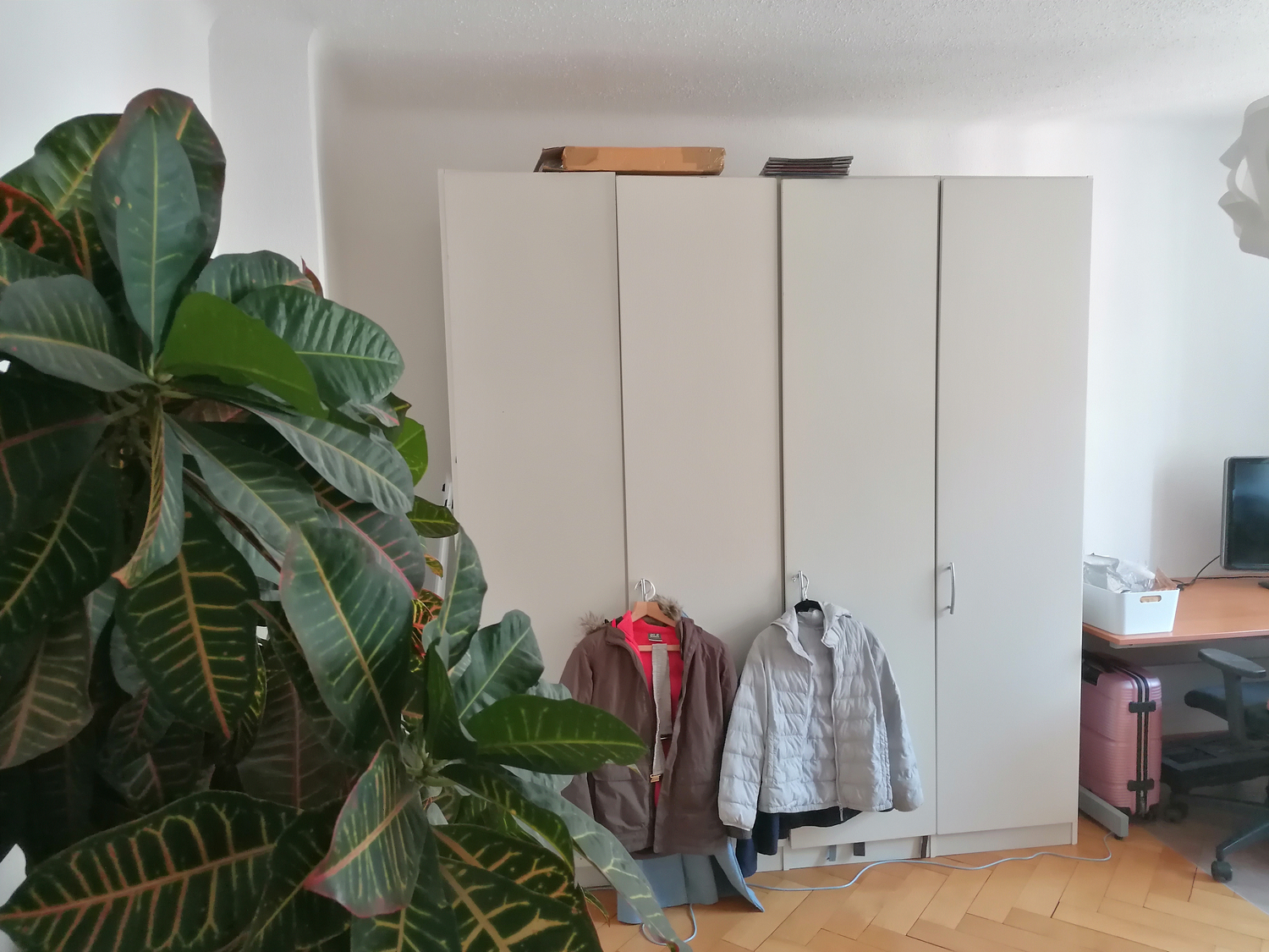 Room in a shared flat