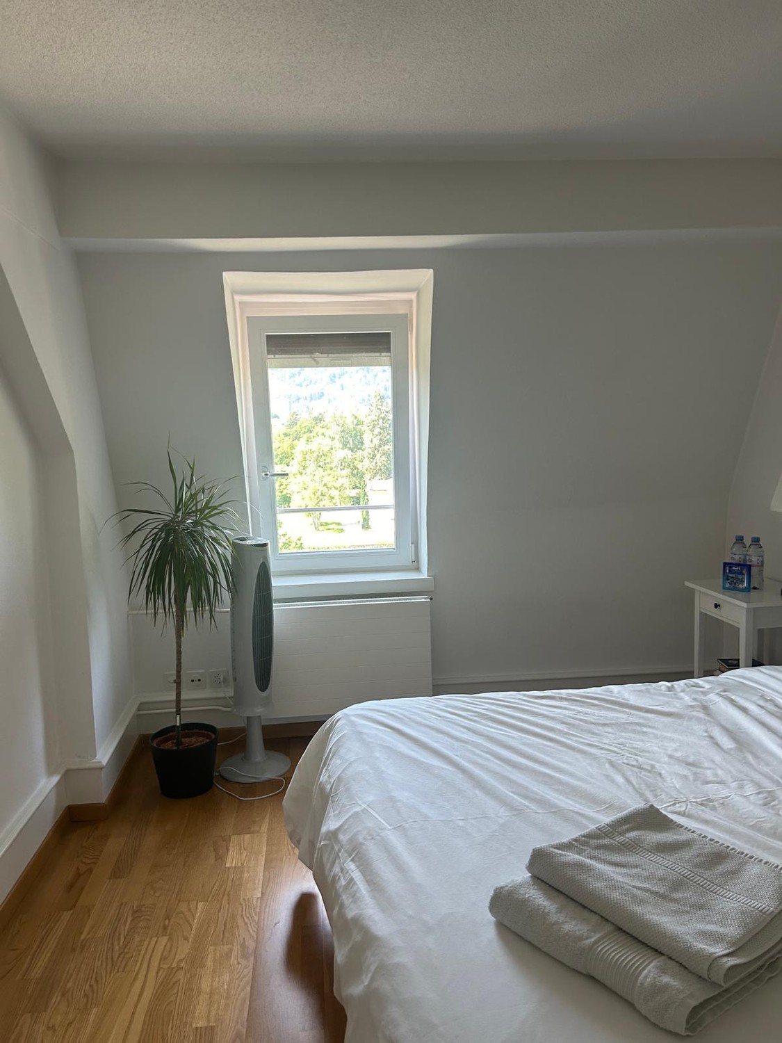 Room in a shared flat