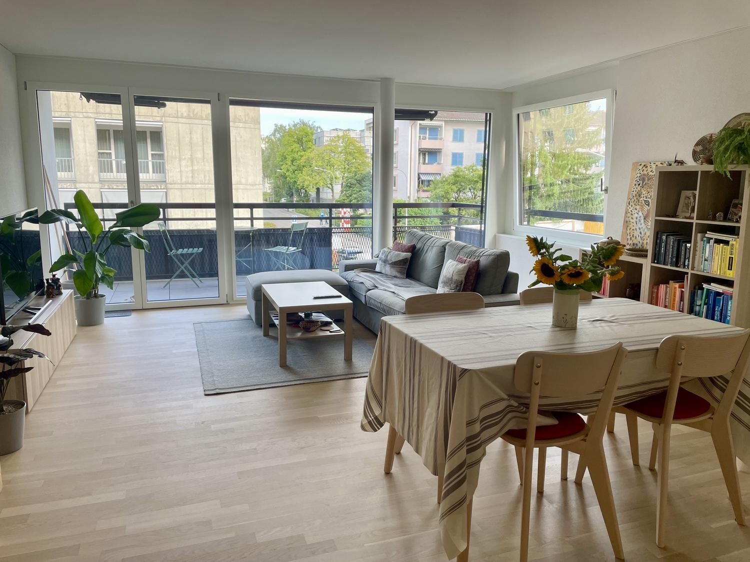 3 ½ Zimmer-Wohnung