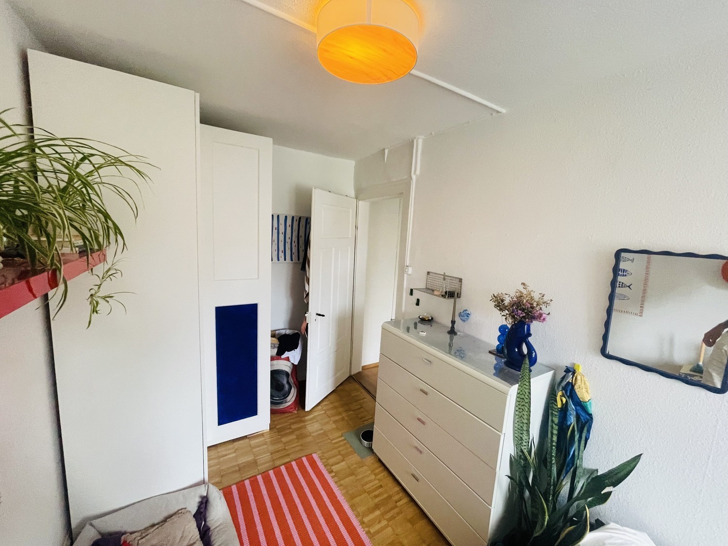 Room in a shared flat