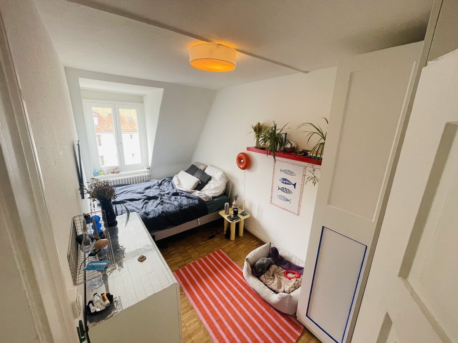 Room in a shared flat
