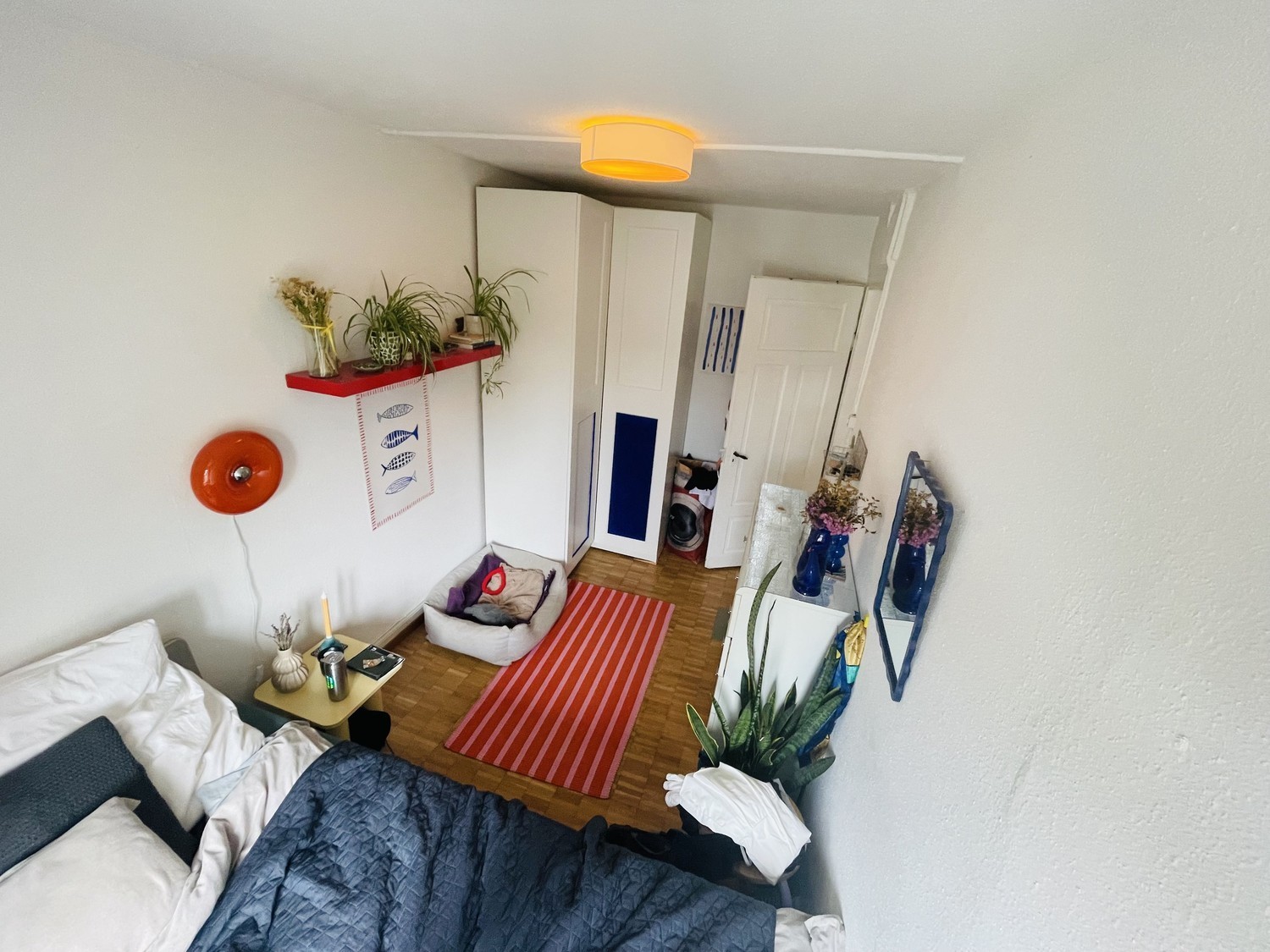 Room in a shared flat