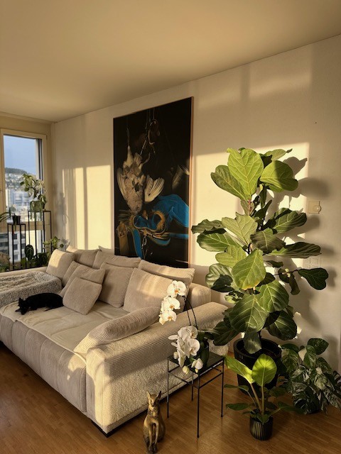 Room in a shared flat