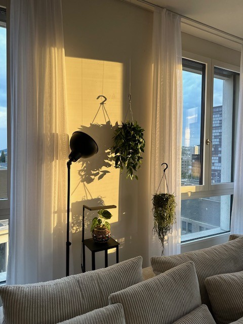 Room in a shared flat