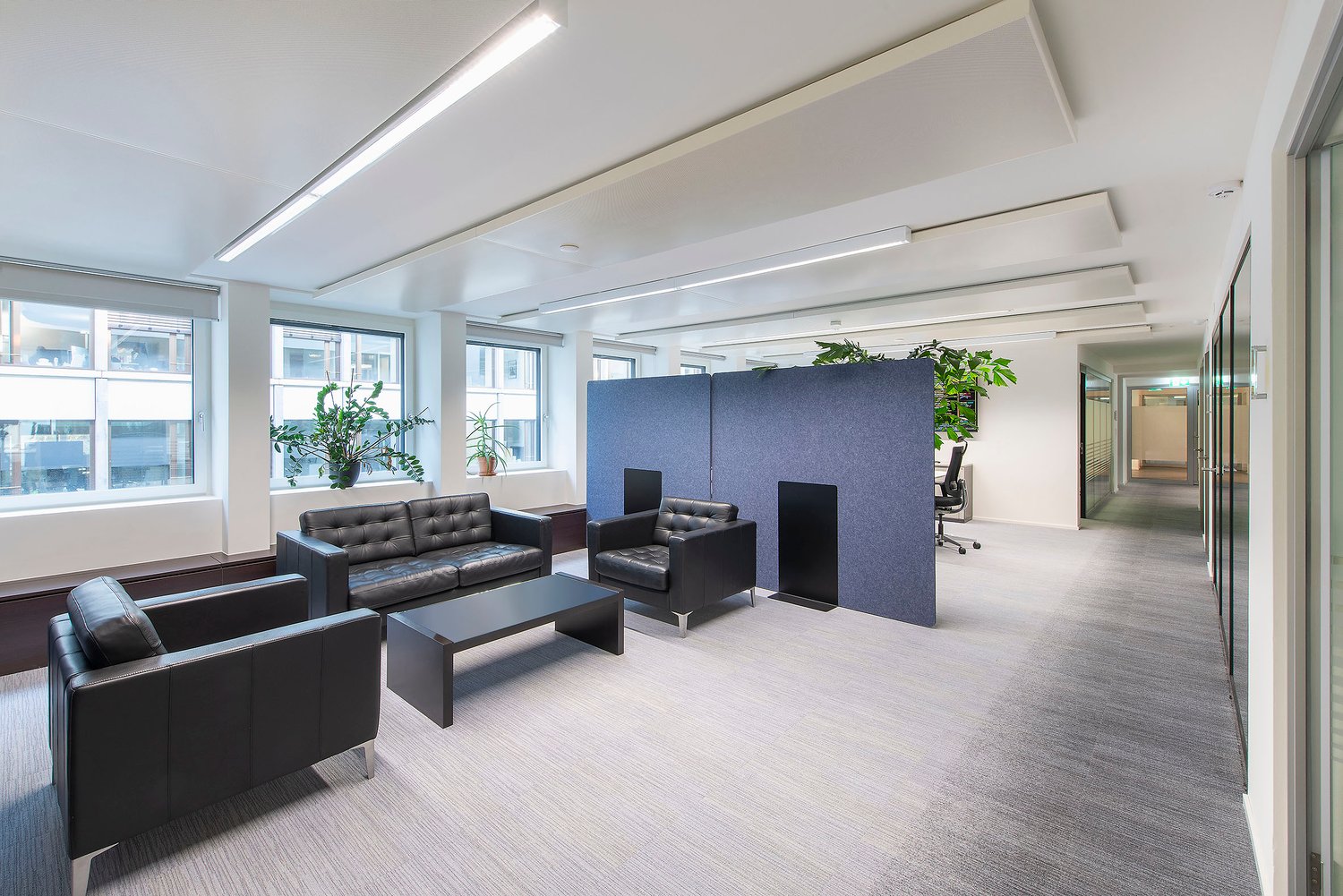 710m² office