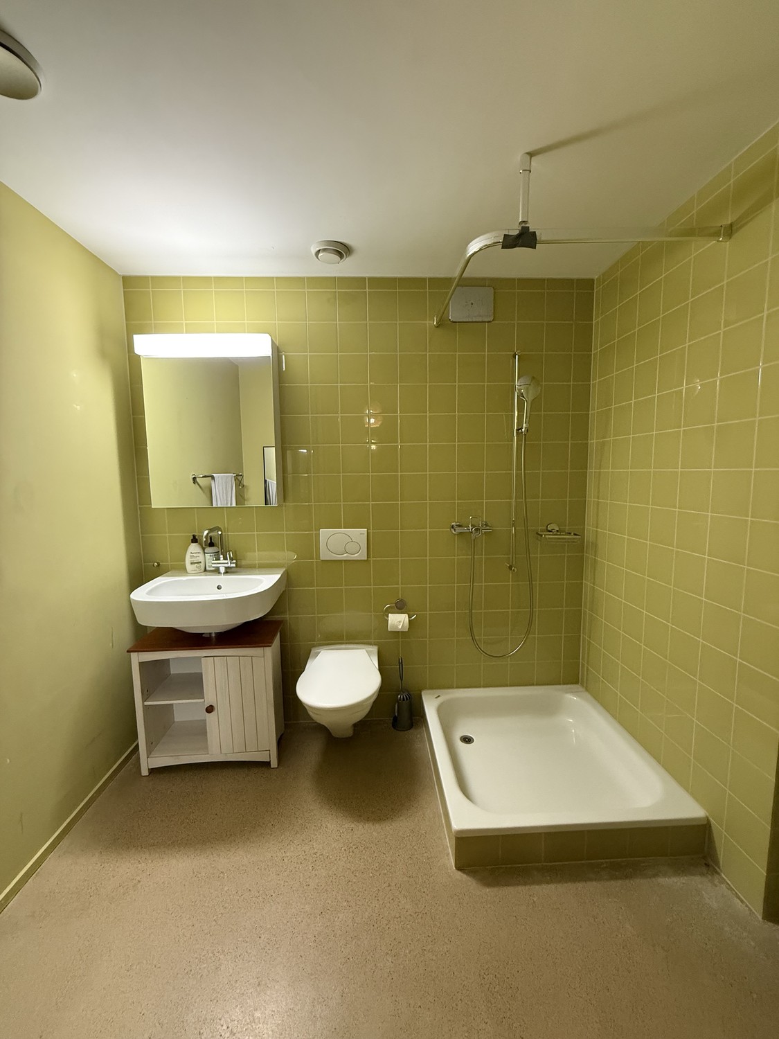 1 ½ Zimmer-Wohnung