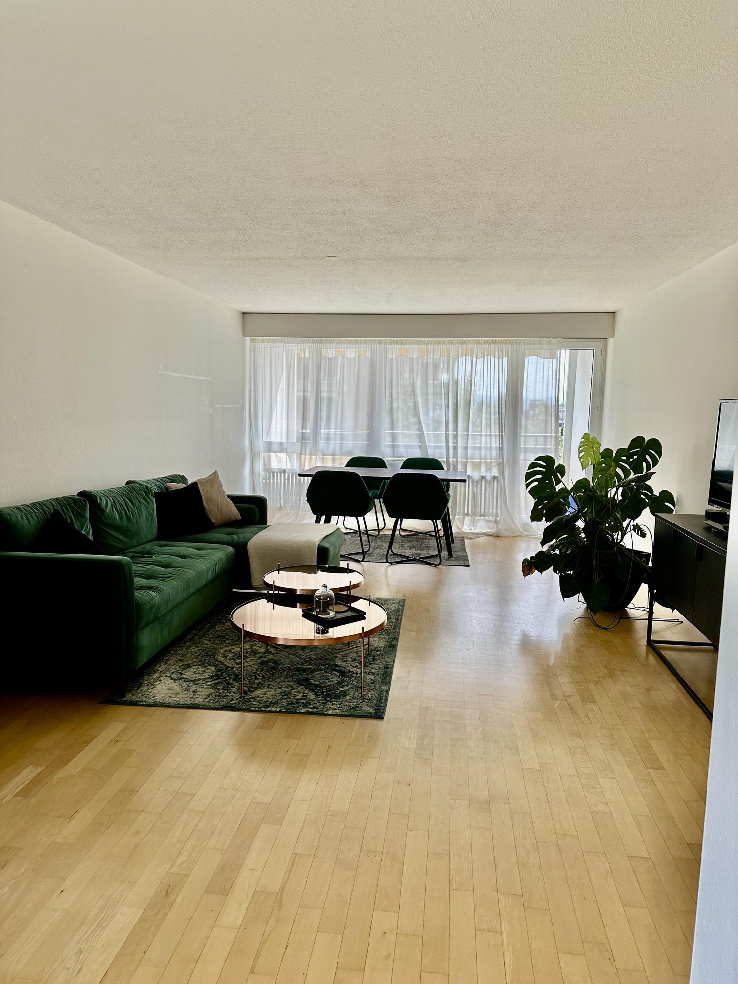 2 ½ rooms apartment