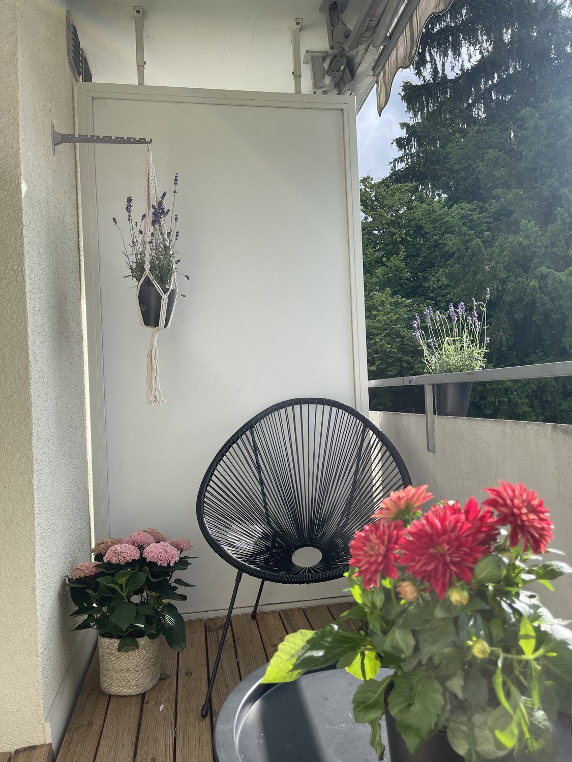 1 ½ rooms apartment